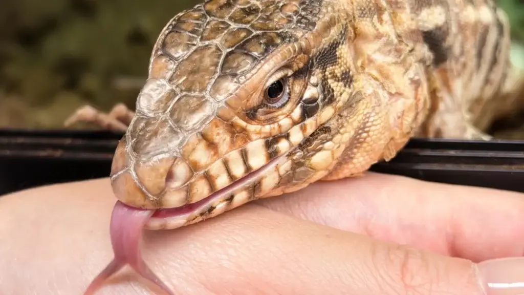 family, gardening, planting, nature, children, outdoors, teamwork, growth, soil, education, sustainability, spring, learning, togetherness, organic, vegetables, hands, summer, green, life, ai generated