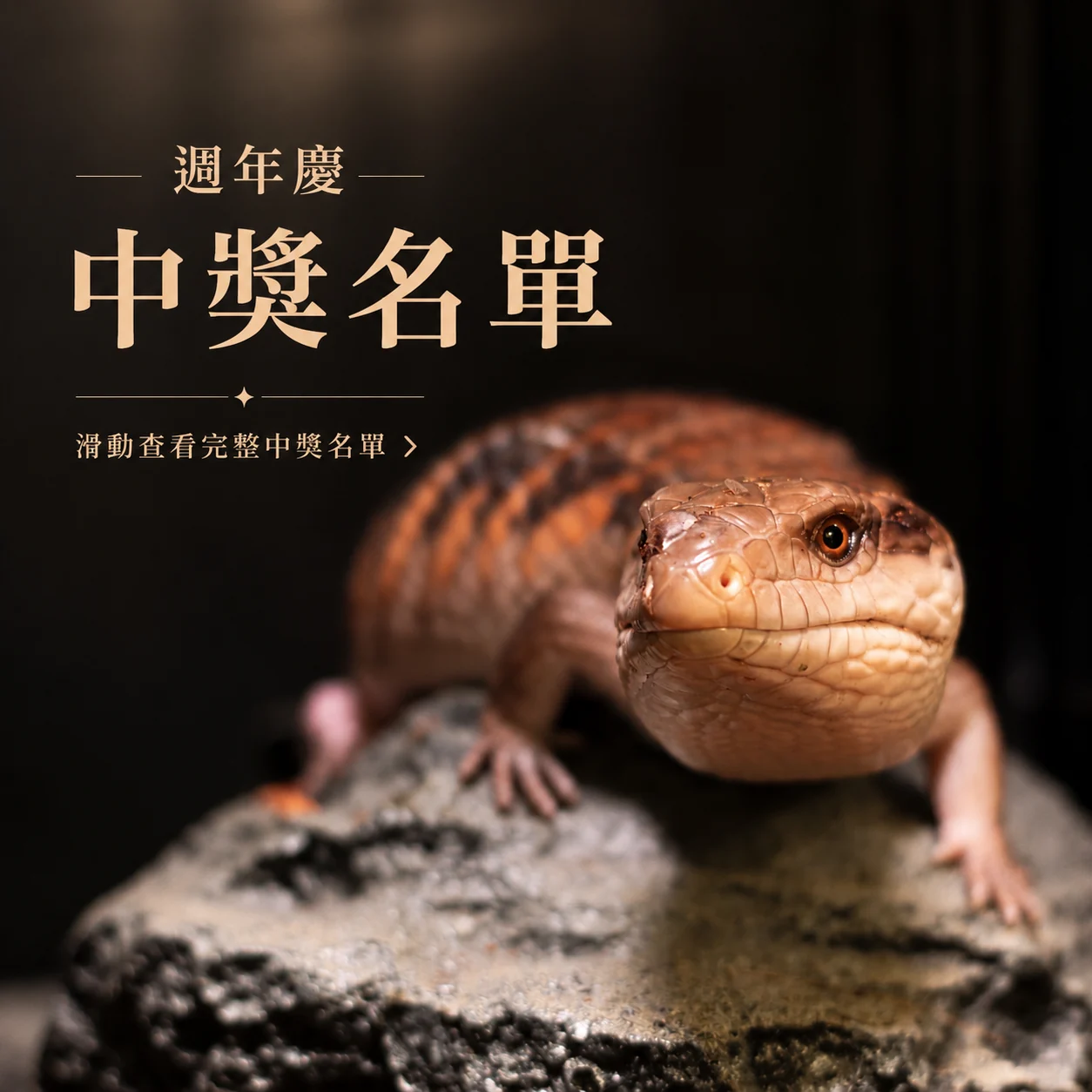 燈塔爬寵一週年慶活動中獎名單封面